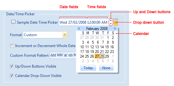 Date/Time Picker control and its elements
